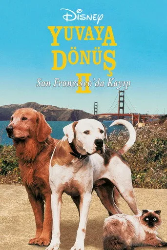 Yuvaya Dönüş II: San Francisco'da Kayıp (1996) posteri