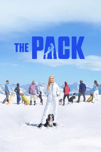 Köpekler ve Ortakları 1. sezon posteri