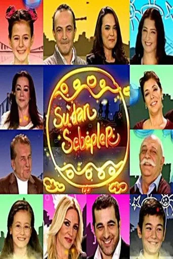 Sudan Sebepler (2011) posteri