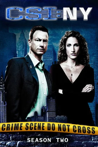 CSI: NY 2. sezon posteri