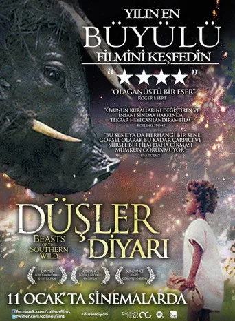 Düşler Diyarı (2012) posteri