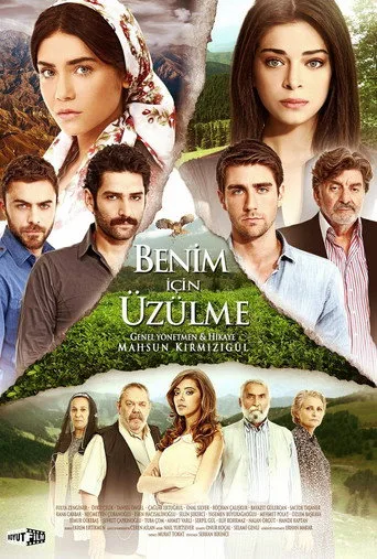 Benim İçin Üzülme (2012) posteri