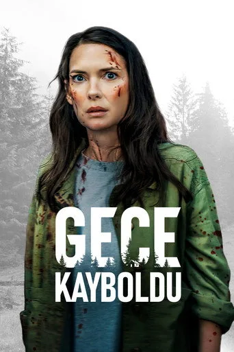 Gece Kayboldu (2022) posteri