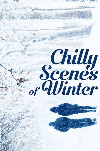 Chilly Scenes of Winter (1979) posteri