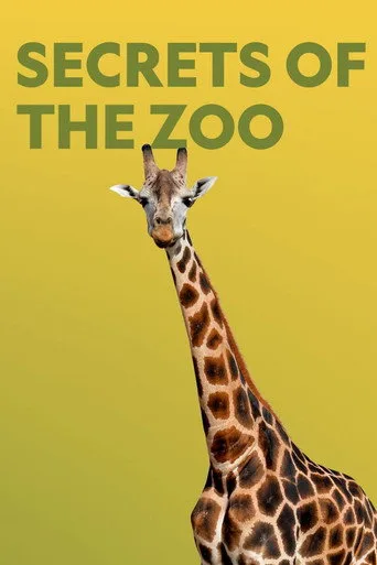 Secrets of the Zoo (2018) posteri