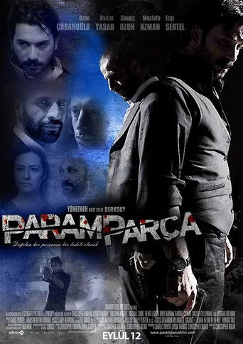 Paramparça (2010) posteri
