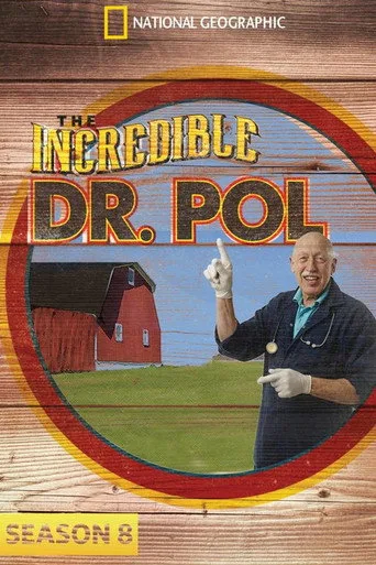 Yetenekli Doktor Pol 8. sezon posteri