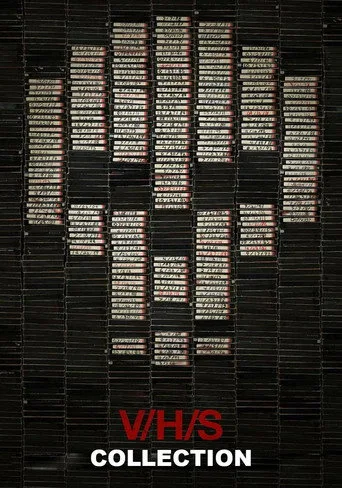 V/H/S serisi
