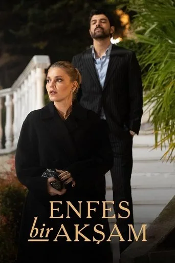 Enfes Bir Akşam (2025) posteri