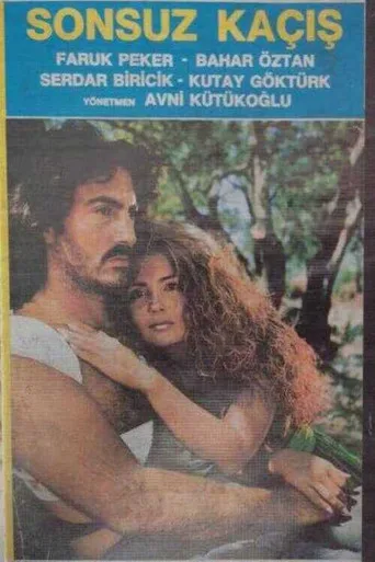 Sonsuz Kaçış (1990) posteri