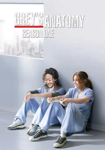 Grey's Anatomy 1. sezon posteri