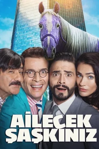 Ailecek Şaşkınız (2018) posteri