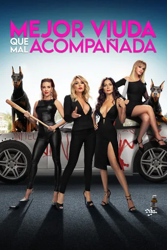 Mejor viuda que mal acompañada (2024) posteri