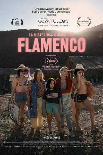 Flamingonun Gizemli Bakışı (2025) posteri