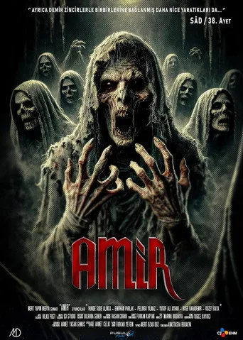 Amir (2024) posteri