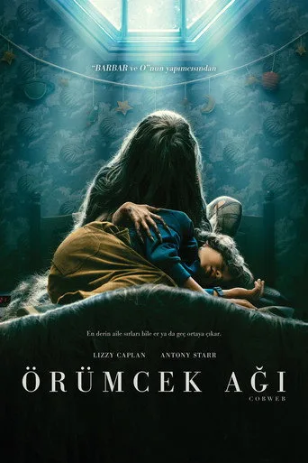 Örümcek Ağı (2023) posteri