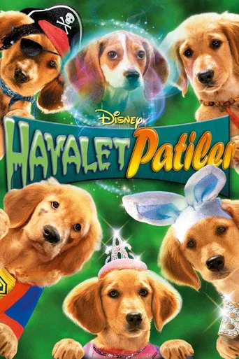 Hayalet Patiler (2011) posteri