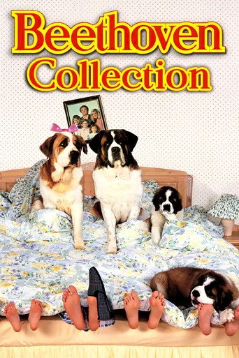 Afacan Köpek Beethoven serisi