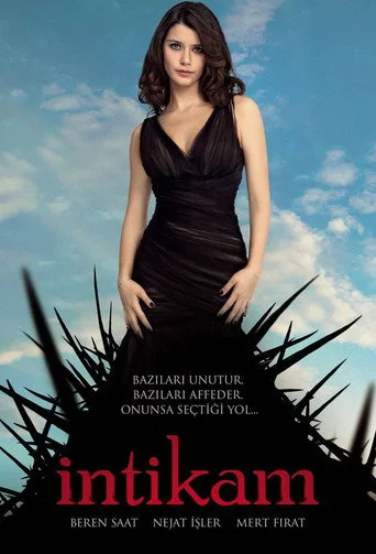 İntikam (2013) posteri