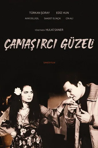 Çamaşırcı Güzeli (1966) posteri