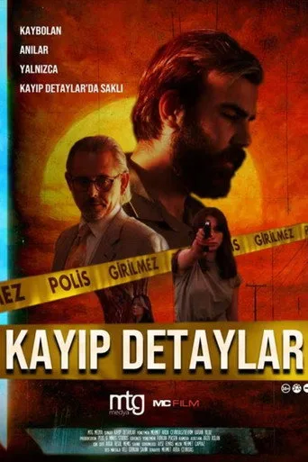 Kayıp Detaylar posteri