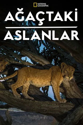 Ağaçtaki Aslanlar (2018) posteri