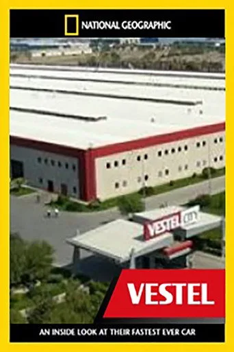Mega Fabrikalar: Vestel (2013) posteri