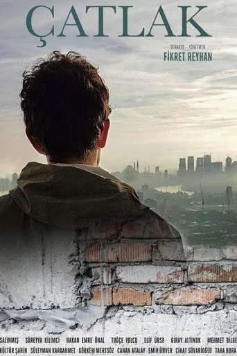 Çatlak (2020) posteri
