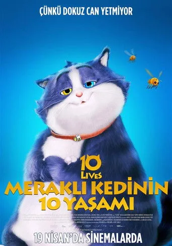 Meraklı Kedinin 10 Yaşamı (2024) posteri