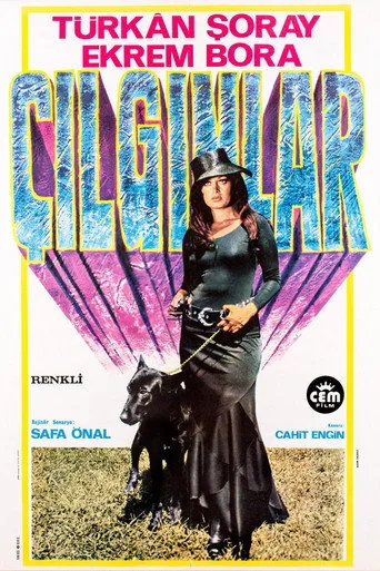 Çılgınlar (1974) posteri