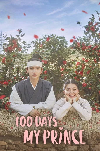 100 Days My Prince 0. sezon posteri