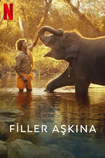Filler Aşkına (2022) posteri