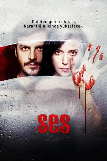 Ses (2010) posteri