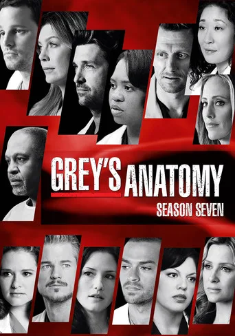 Grey's Anatomy 7. sezon posteri
