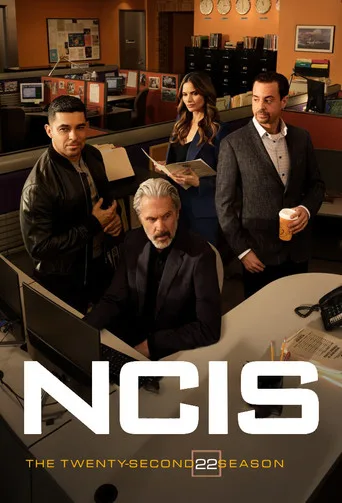 NCIS 22. sezon posteri
