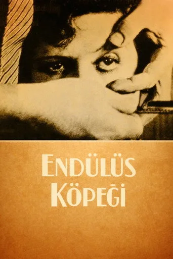 Endülüs Köpeği (1929) posteri