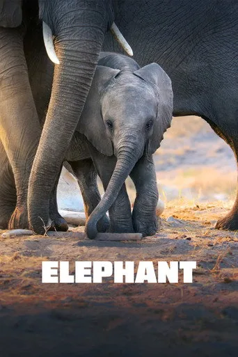 Elephant (2020) posteri