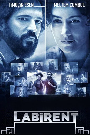 Labirent (2011) posteri