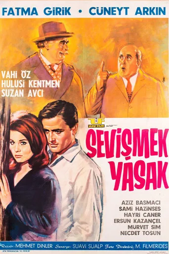 Sevişmek Yasak (1965) posteri