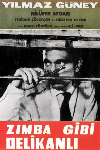 Zımba Gibi Delikanlı (1964) posteri