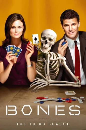 Bones 3. sezon posteri