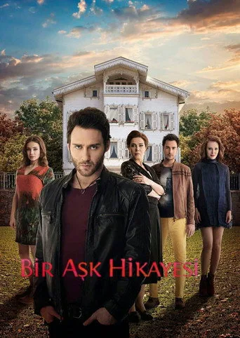 Bir Aşk Hikayesi (2013) posteri
