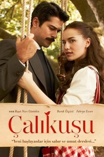 Çalıkuşu (2013) posteri