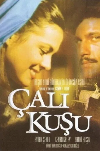 Çalıkuşu 1. sezon posteri