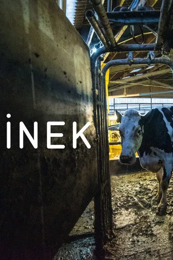 İnek (2022) posteri
