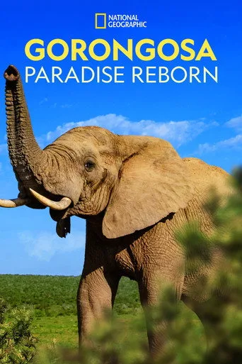 Gorongosa: Yeniden Doğan Cennet (2022) posteri