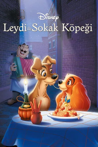 Leydi ile Sokak Köpeği (1955) posteri