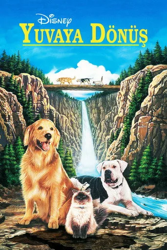 Yuvaya Dönüş (1993) posteri