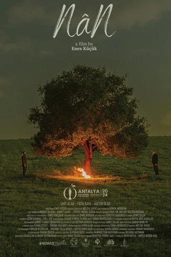 NâN (2024) posteri