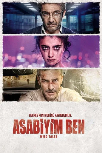 Asabiyim Ben (2014) posteri